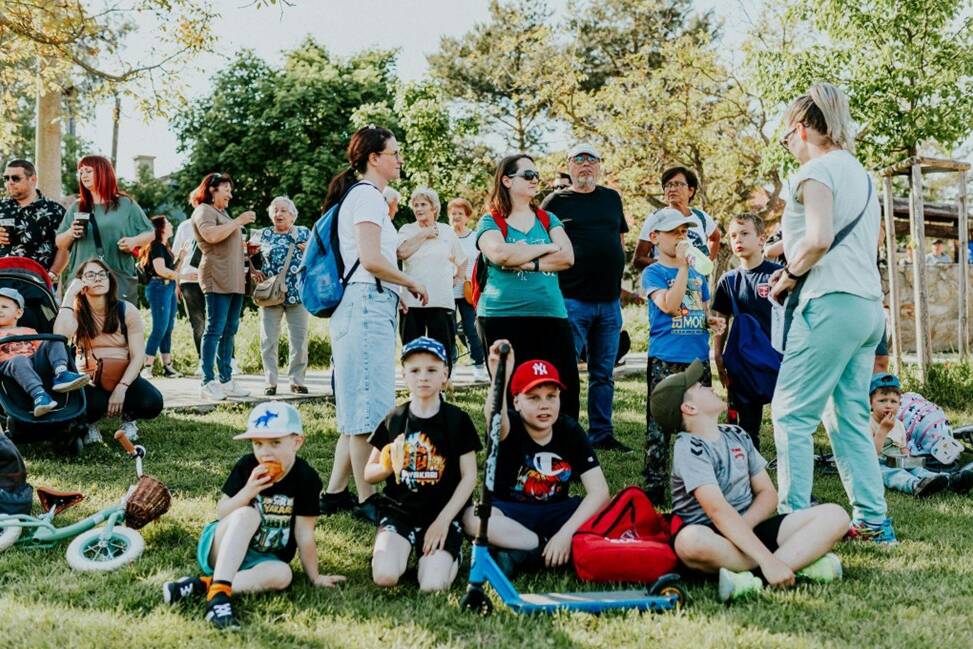 modern-disability-support